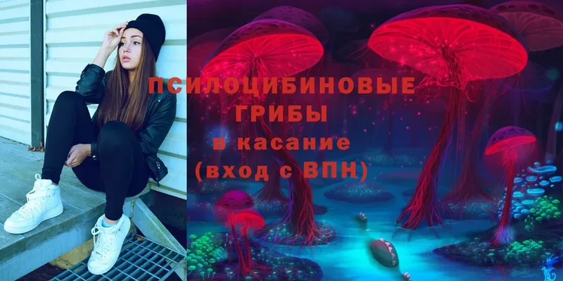 Галлюциногенные грибы MAGIC MUSHROOMS  mega рабочий сайт  Каменск-Шахтинский 